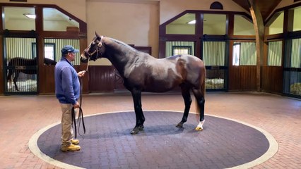 Sky Mesa 360° Video Experience