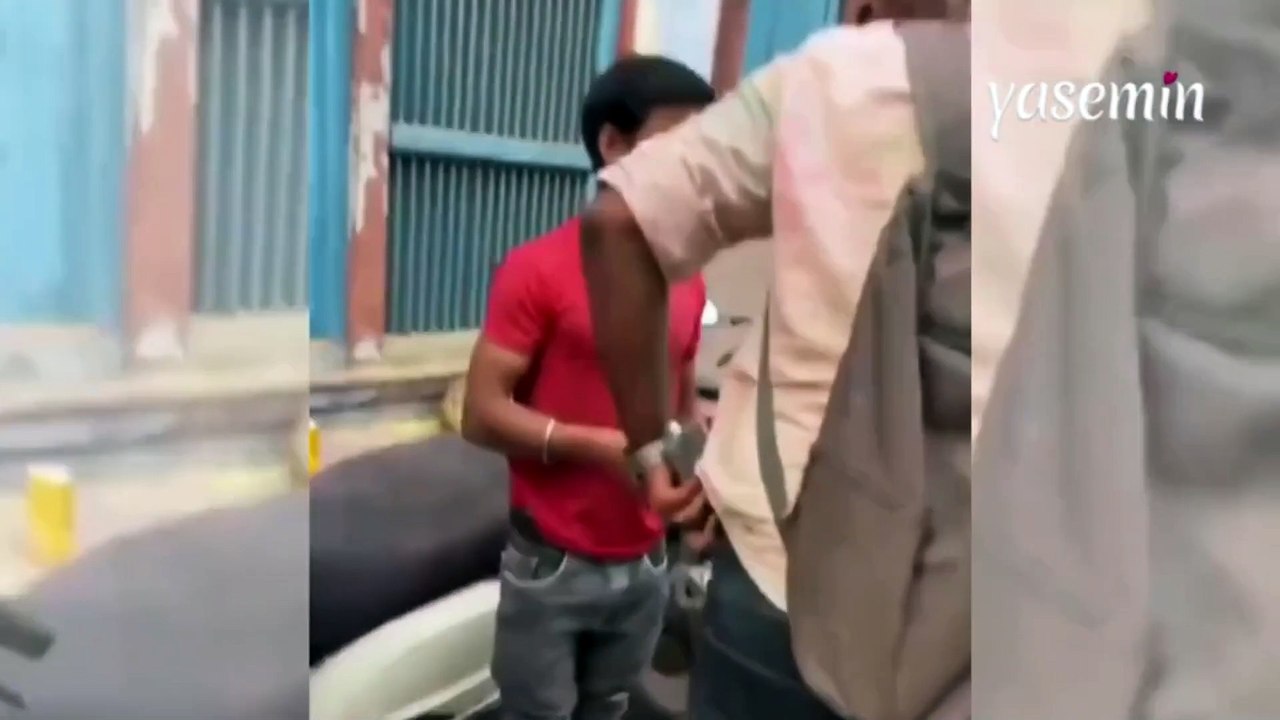 Çaldığı telefonu mango suyuyla takas etti! Hindistan'daki maymun görenleri güldürdü