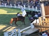 Actividades en el Ruedo Don Homero Formoso - P 2 de 2 - Patria Gaucha 2025 - Tacuarembó, Martes 18 de marzo