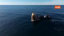 Delfini nuotano intorno alla capsula Space X subito dopo l'ammaraggio in Florida