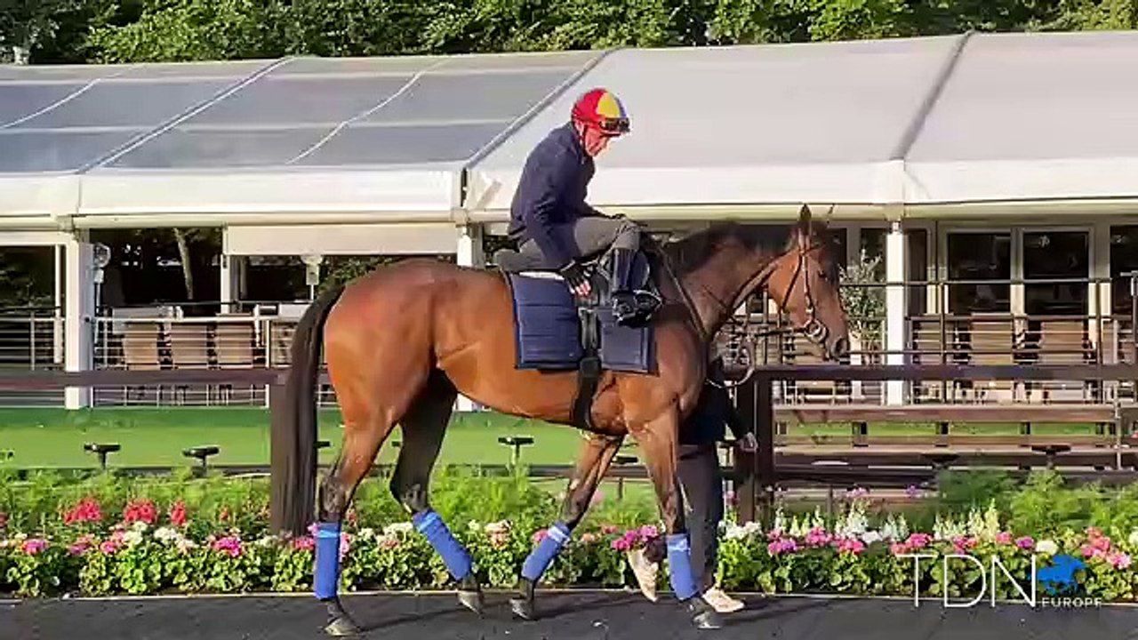 July Course Gallop for Emily Upjohn
