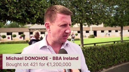 Arqana Summer Sale - Day 2 review