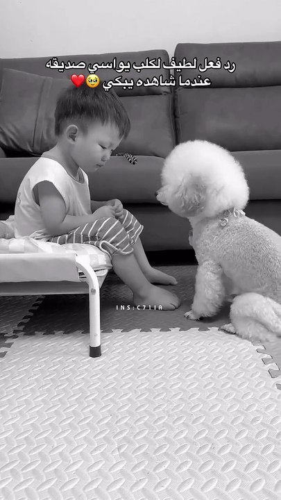 Best dog ❤️