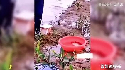 *"ROFL Alert: So Random It Hurts! Try Not to Laugh Challenge (Impossible)"*