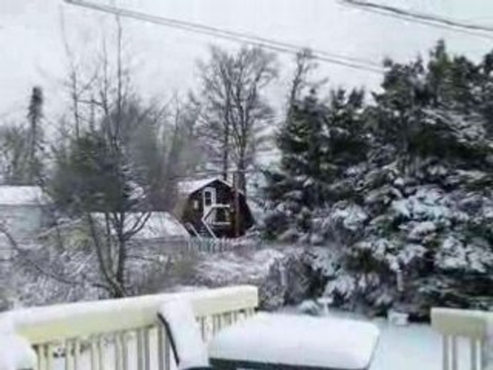 Photo 009