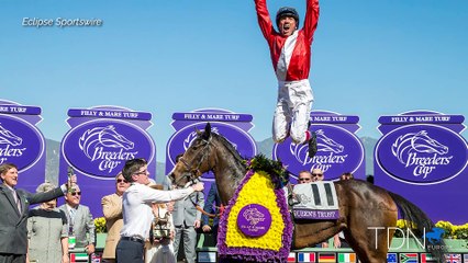 Foaling Around: Queen's Trust