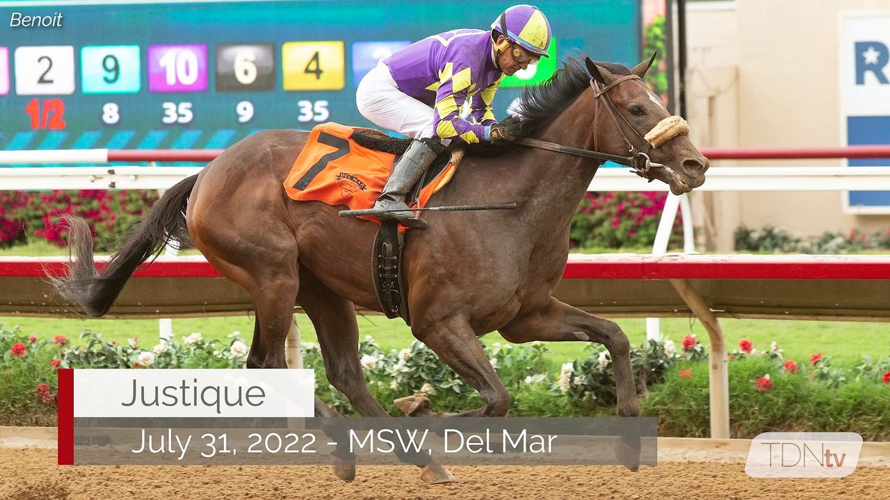 Dave O'Rourke Joins the TDN Writers' Room - video Dailymotion