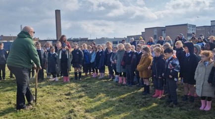 Tree planting at Victoria Primary School Carrickfergus