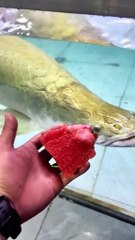 Why American Breakfast Struggles to Make Money in China