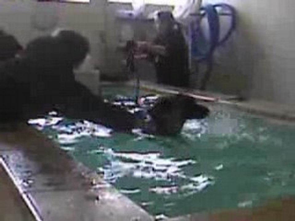 Réeducation d'Ulna Part.1