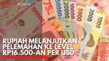 Rupiah Melanjutkan Pelemahan ke Level Rp16.500-an per USD
