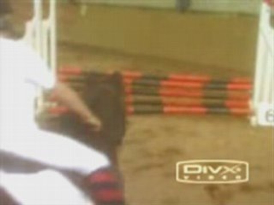 Les chevaux du treuil en saut