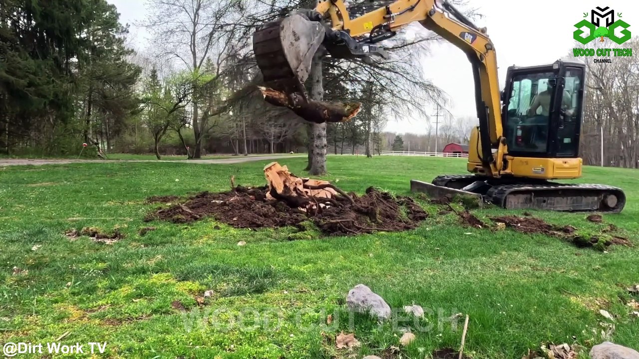 Firewood Processing Machine ｜ World's Fastest Modern Wood Cutting Chainsaw Technology