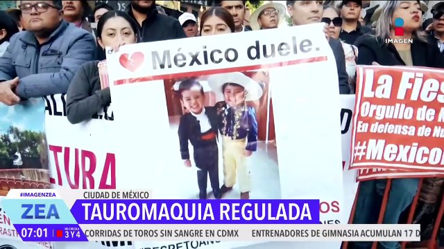 Congreso CDMX aprueba las corridas de toros sin violencia; taurinos estallan