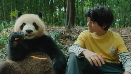 Moon, mi amigo panda Tráiler