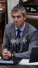 Martín Menem: "Los quiero gritándome, a los gritos, puteando, nada de algo pacífico"