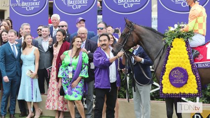 Pizza Bianca Brings a White Hot Pedigree to Night of the Stars