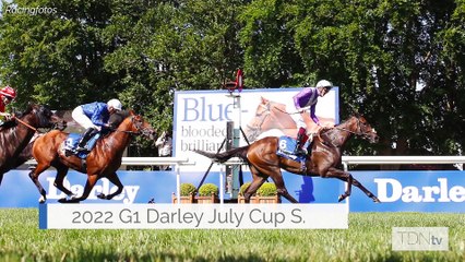 Four Time G1 Winner Alcohol Free to Tattersalls Sceptre Sessions