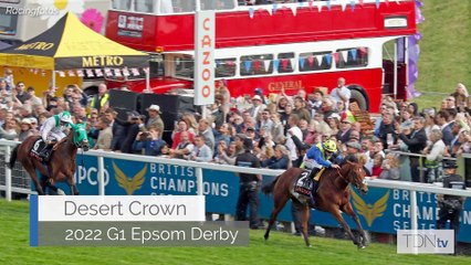 Dam of Derby Winner A Highlight For The Tattersalls Sceptre Sessions