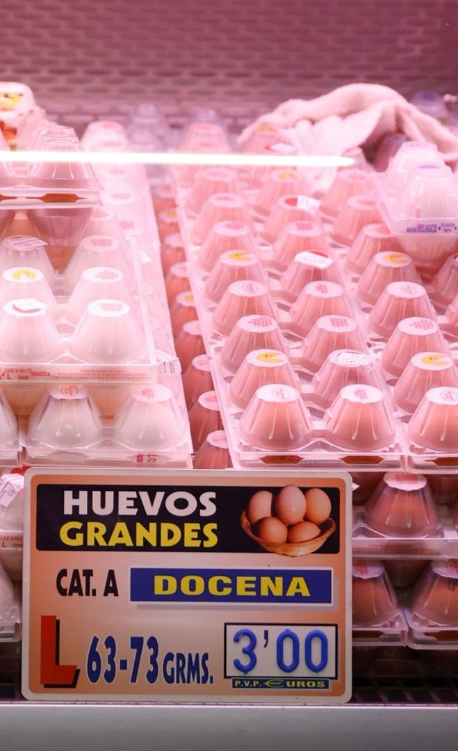 El precio de los huevos por las nubes: "Se va a poner muy complicado. Ser� un producto de lujo"

Una docena ya sobrepasa los 2,60 euros en la mayor�a de cadenas de nuestro pa�s, cuando hace un a�o val�a 2,19 euros en el establecimiento m�s caro.

�Qu� est� pasando? El aumento de la demanda y la gripe aviar en Estados Unidos est�n detr�s.