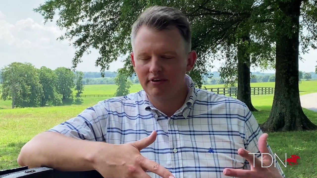 Momentum Builds for Yearlings By Champion Vino Rosso