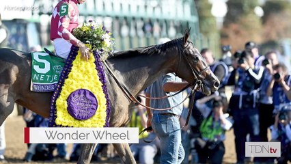 Peter Ecabert Joins the TDN Writers' Room