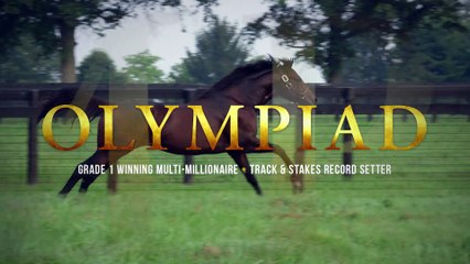 Gainesway - Olympiad