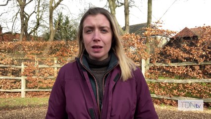 Lope Y Fernandez Bolstered By Connections