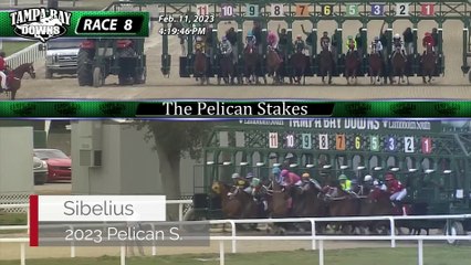 Fastest Horse, for the Week Ending 2/15/22, presented by WinStar