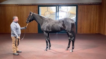 Explore Independence Hall in Stunning 360° Video 🏛️