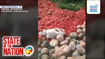 Mga bagong ani na bell pepper at kalabasa, iniwan na lang dahil masyadong mababa ang bentahan | SONA