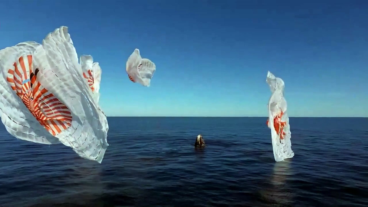 Astronautas de regreso en casa | Estuvieron varados nueve meses en Estación Espacial Internacional