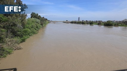 El caudal del río Guadalquivir a su paso por Sevilla