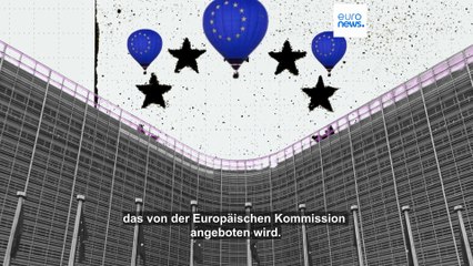 Wie hat sich das europäische Blue Book Praktikums-Programm entwickelt?