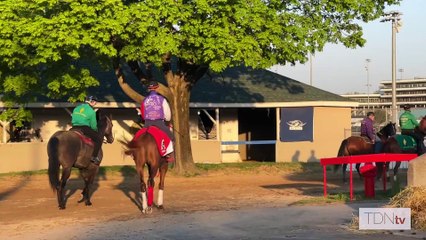 Meet Japanese Kentucky Derby contenders Derma Sotogake and Continuar
