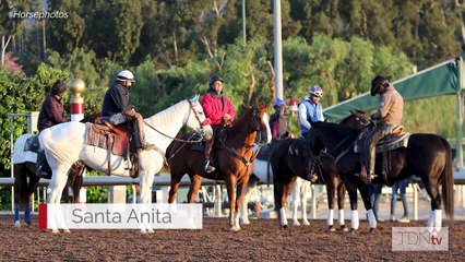 Bill Finley and Randy Moss praise Santa Anita's safety measures on TDN Writers' Room