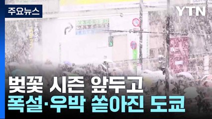 벚꽃 시즌 앞두고 폭설·우박 쏟아진 도쿄...당황한 시민들 / YTN