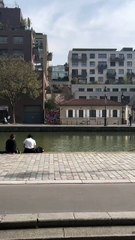 Printemps à Paris ❤️