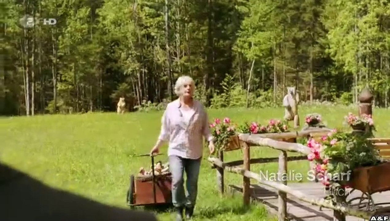 Frühling -12- Schritt ins Licht