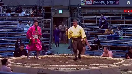 Haru 2025, Sandanme - Day 7