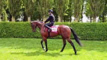 Arqana Breeze Up 23