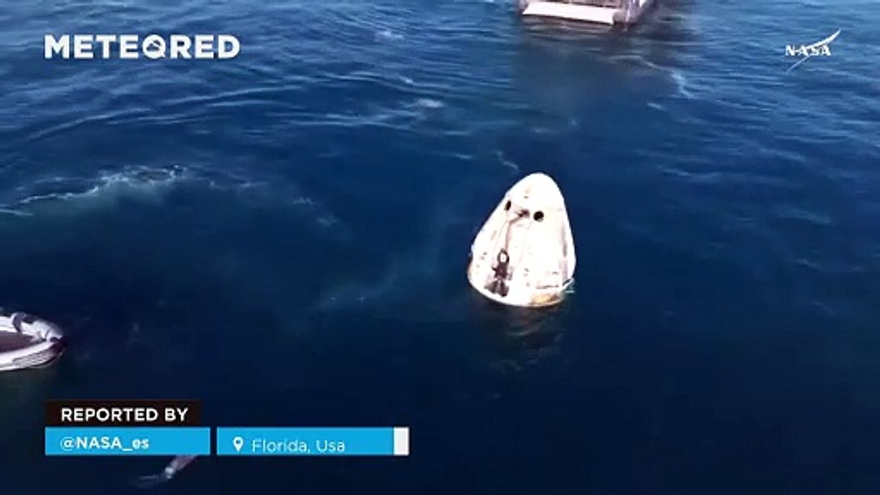 A group of dolphins welcomes the Crew9 astronauts! The splashdown took place off the coast of Florida