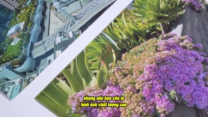 Cách chọn lựa máy in phù hợp với nhu cầu cá nhân