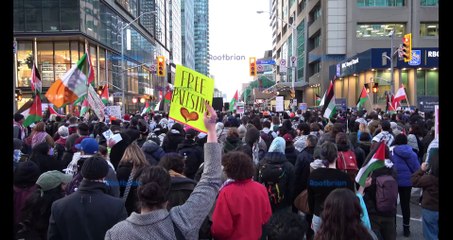 Toronto - Emergency Protest - All out - Stop the Genocide - Arms Embargo Now