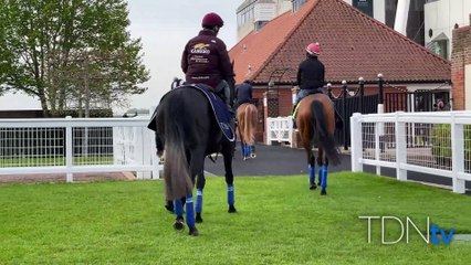 John & Thady Gosden's Guineas Entrants Gallop