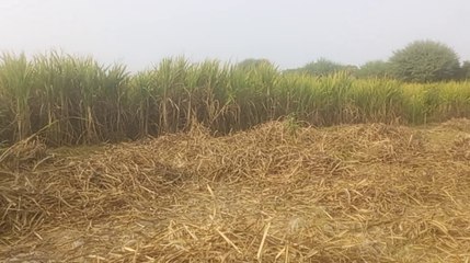 Exploring every day life