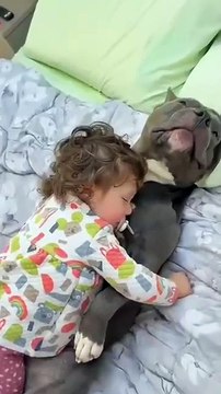 The company of the dog allows the baby to sleep more peacefully