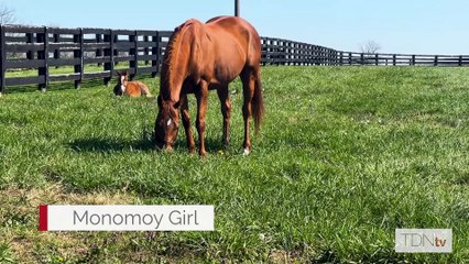 Florent Geroux reunites with Monomoy Girl and meets her first foal