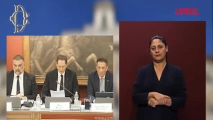 John Elkann in Parlamento: «Senza Stellantis l'auto in Italia sarebbe scomparsa da tempo»