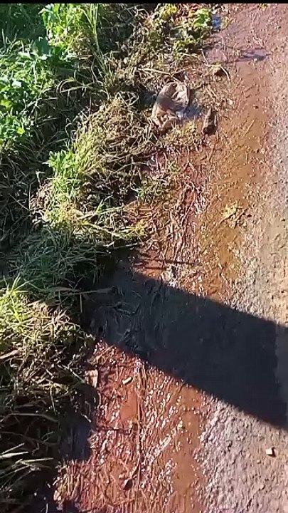 Moradores denunciam abandono no bairro Isabel Garden